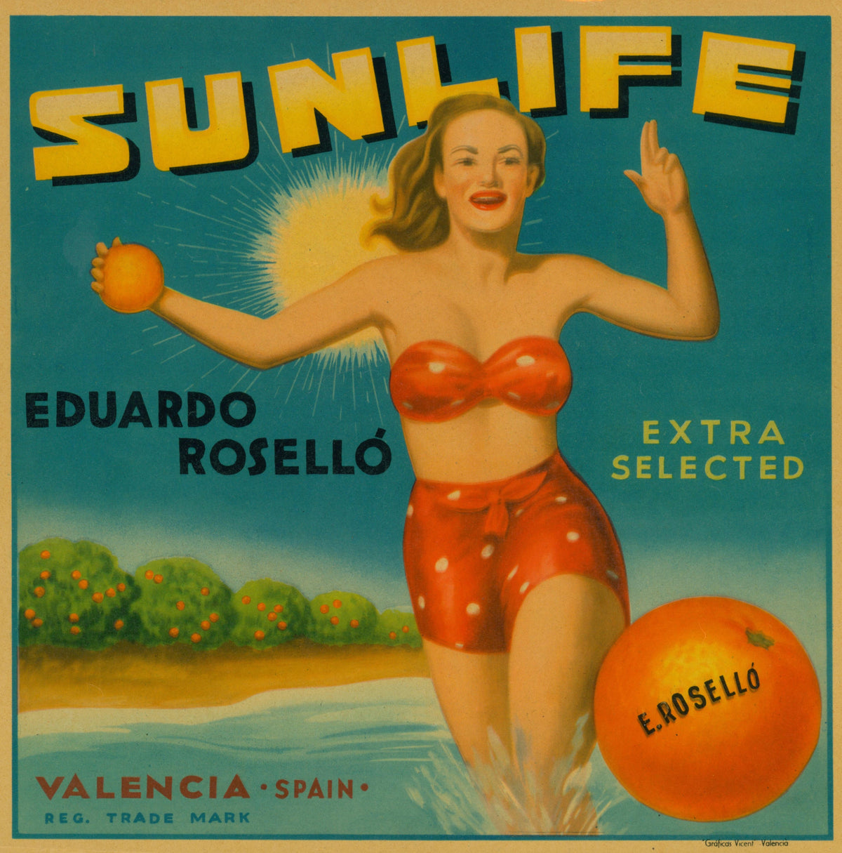 Sun Life- Spanish Crate Label - Authentic Vintage Antique Print