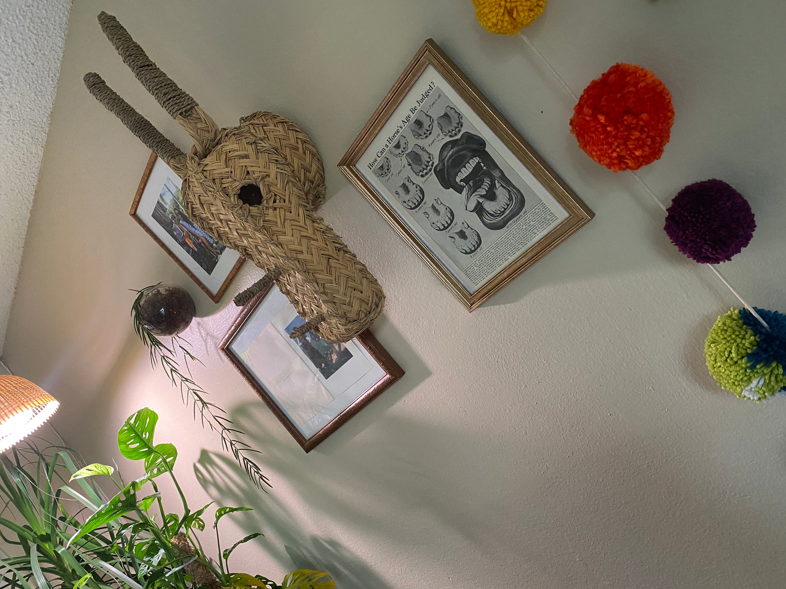 Fun, quirky vintage print... customer photo!