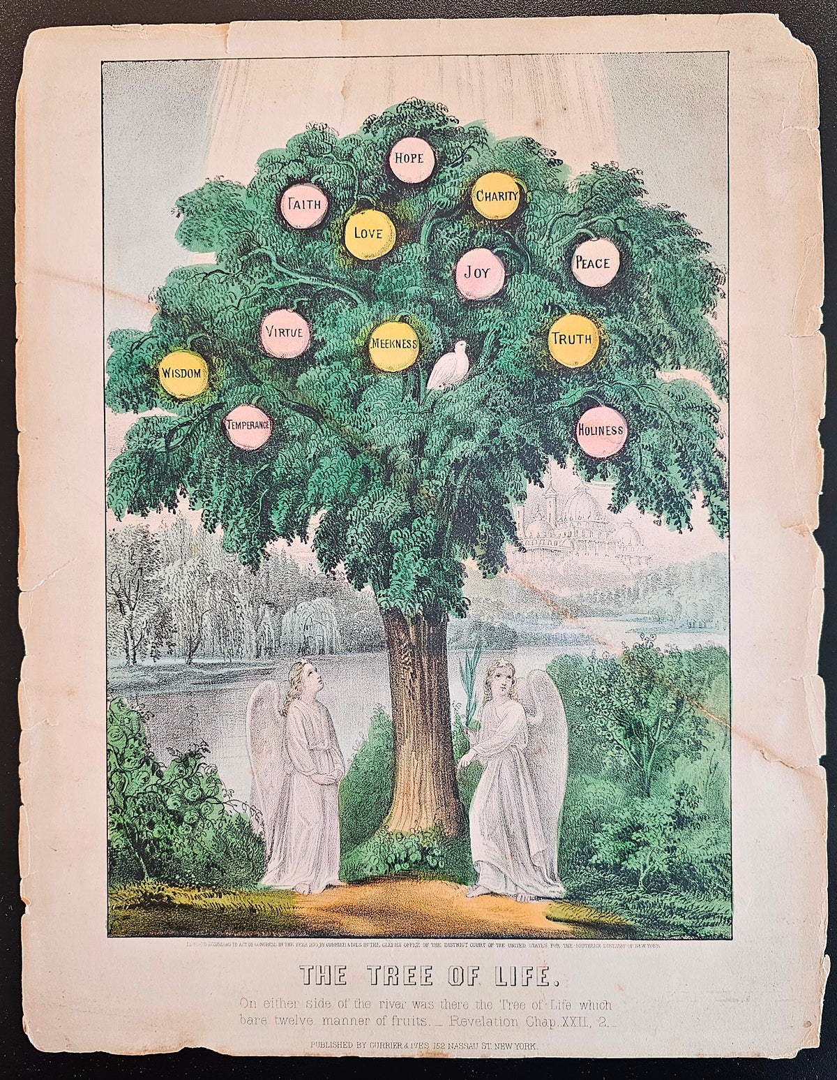 The Tree of Life - Authentic Vintage Antique Print