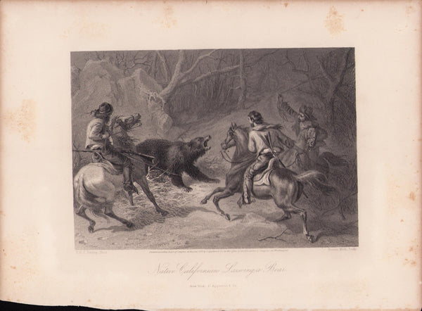 Native Californians Lassoing a Bear - Authentic Vintage Antique Print