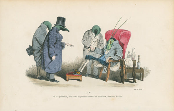 Les Métamorphoses du Jour 5