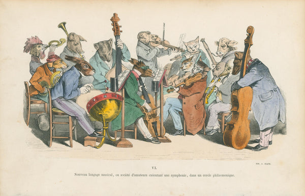 Les Métamorphoses du Jour 7