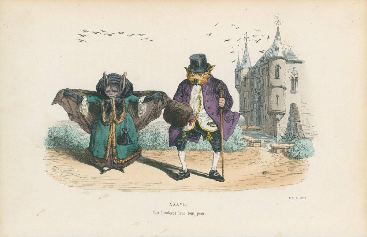 Les Métamorphoses du Jour 12