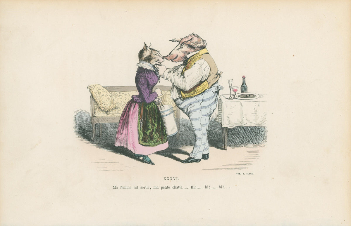 Les Métamorphoses du Jour 13