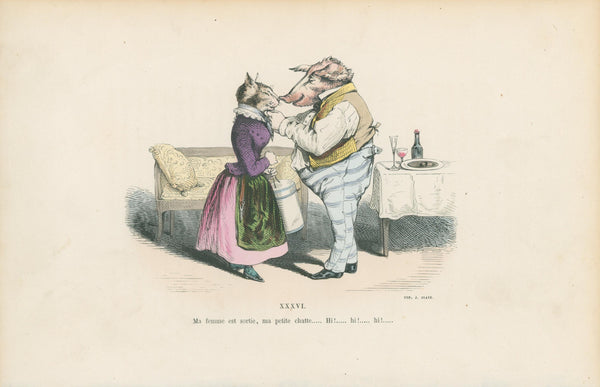 Les Métamorphoses du Jour 13