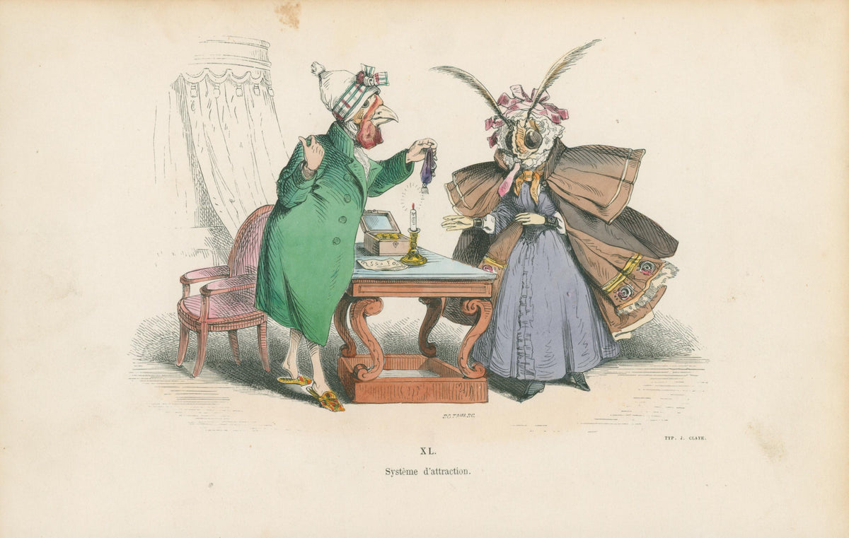 Fatal Attraction by J.J. Grandville - Original Antique Print: