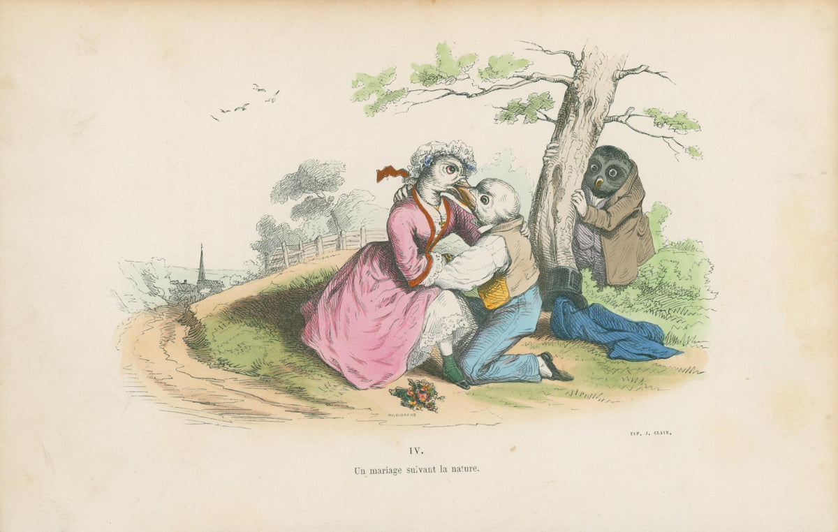 A Natural Marriage by J.J. Grandville - Original Antique Print: