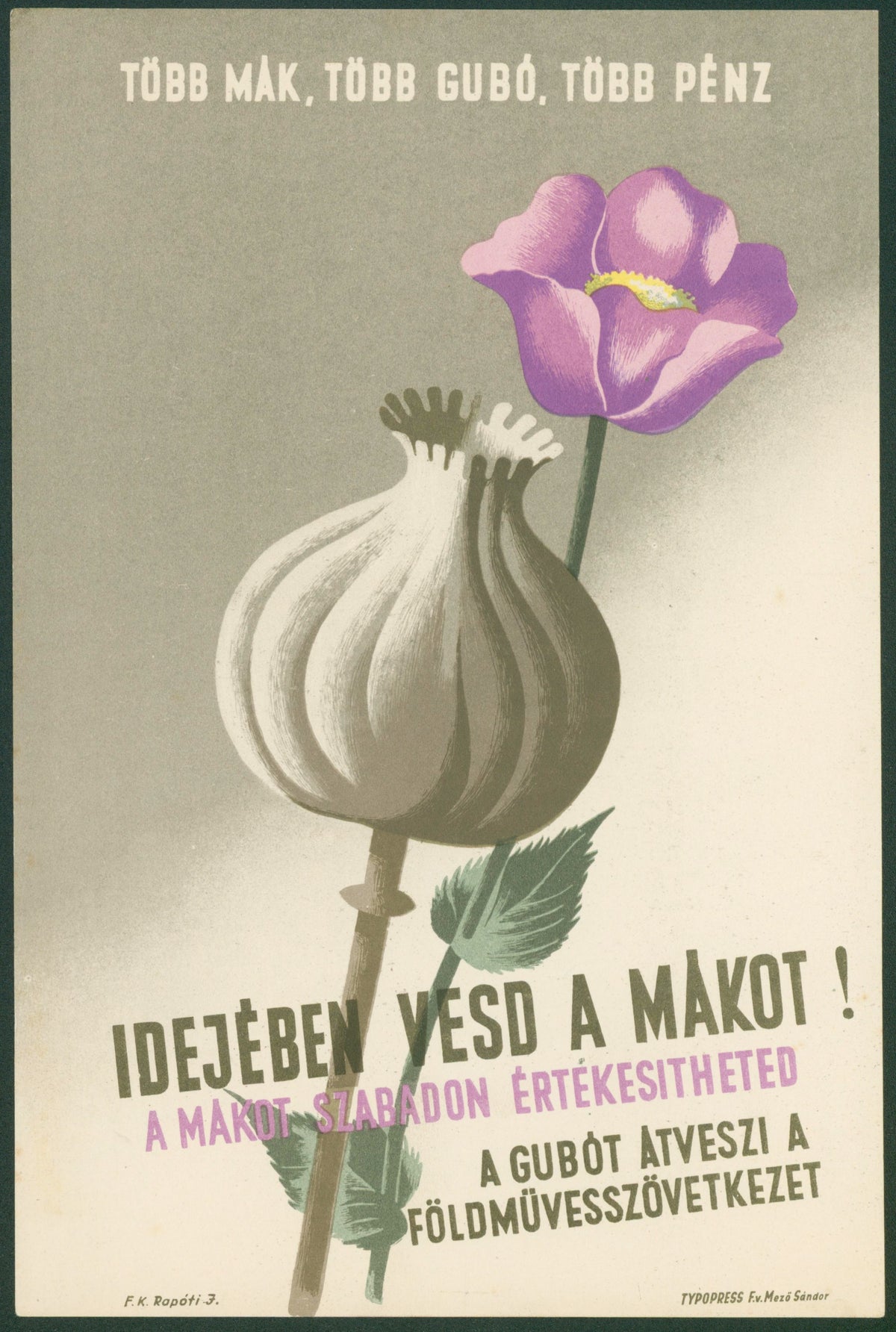 Sow the poppy in time! Hungarian Mini Poster