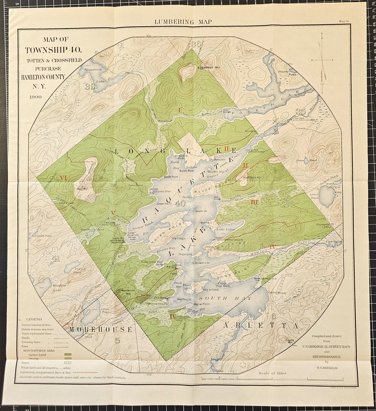 Lumbering Map- Hamilton County, N.Y. - Original Vintage Poster