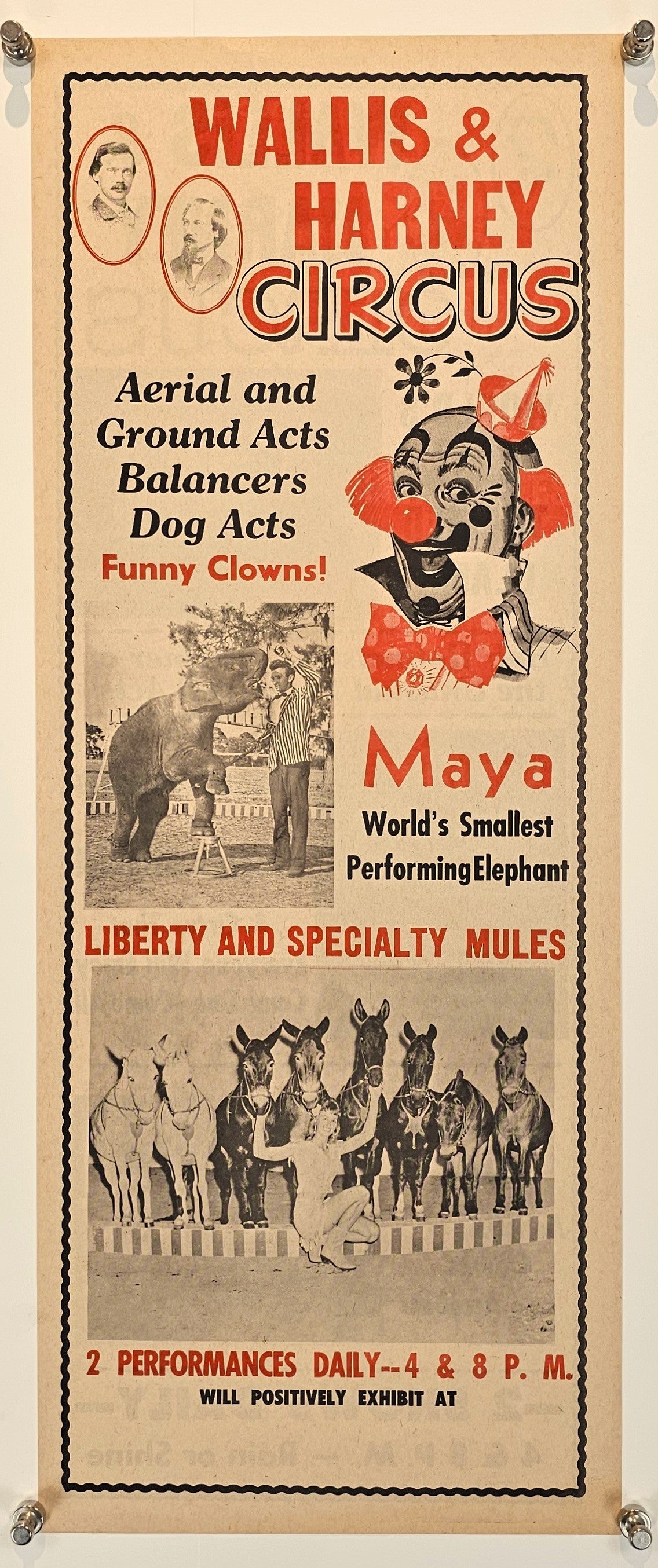 Wallis & Harney Circus