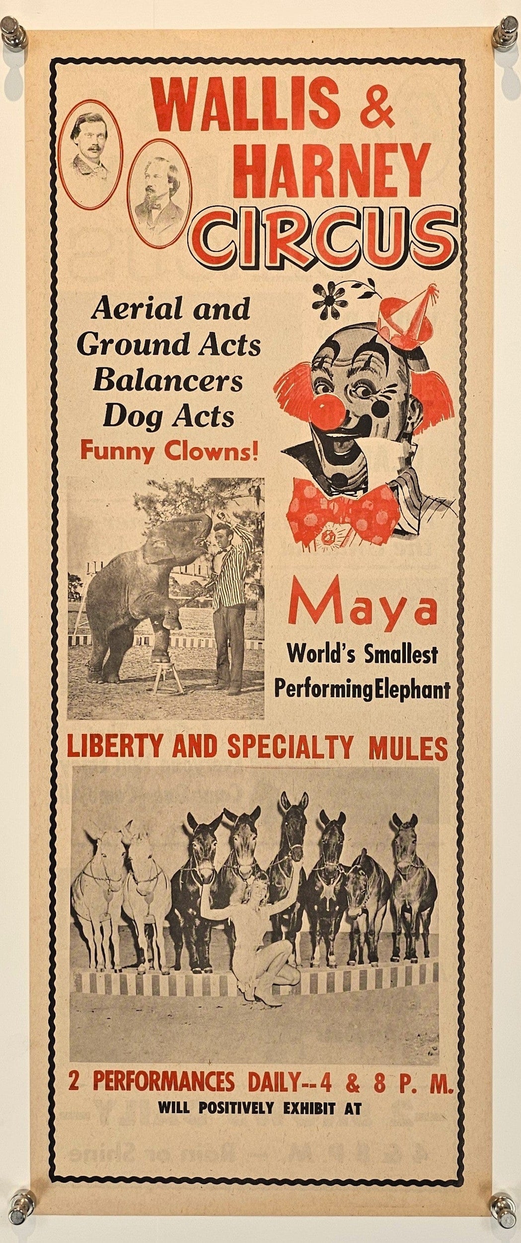 Wallis & Harney Circus