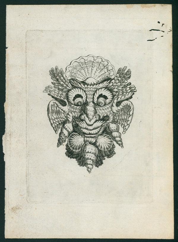 Baroque Conchology, Steel Engraving - Authentic Vintage Antique Print