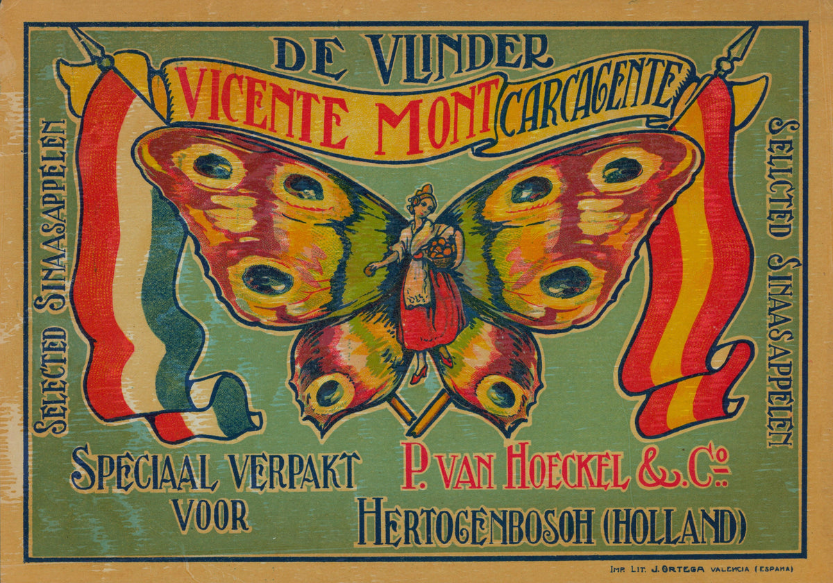 Holland Butterfly- Spanish Crate Label - Authentic Vintage Antique Print