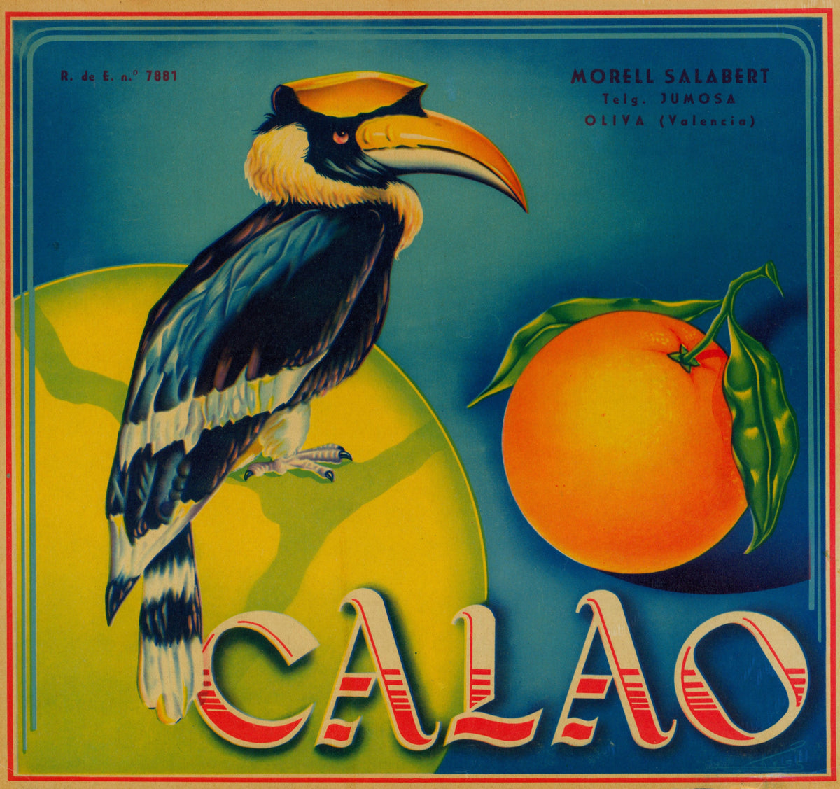 Calao Toucan- Spanish Crate Label - Authentic Vintage Antique Print