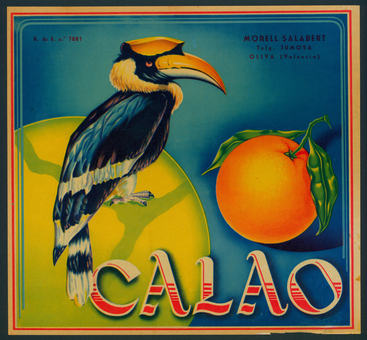 Calao Toucan- Spanish Crate Label - Authentic Vintage Antique Print