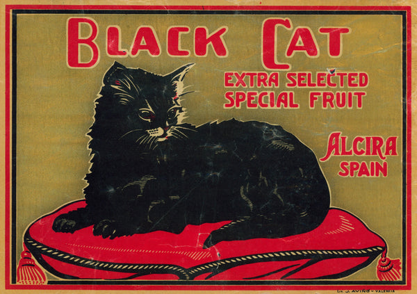 Black Cat- Spanish Crate Label - Authentic Vintage Product Label