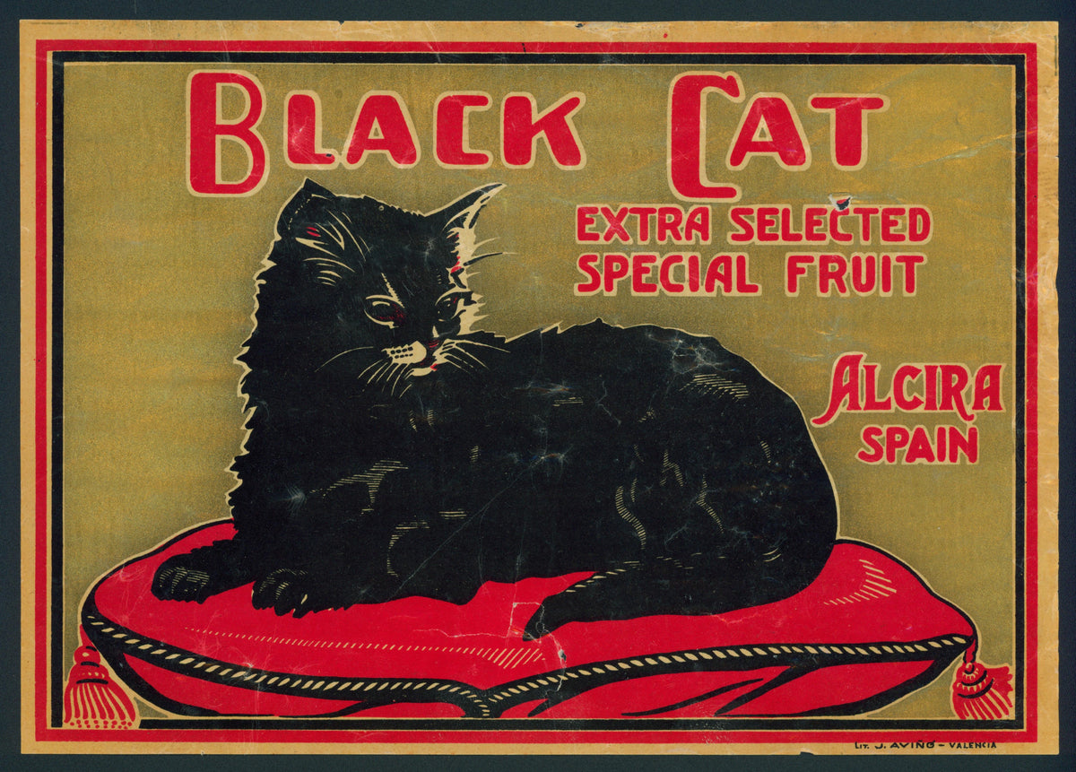 Black Cat- Spanish Crate Label - Authentic Vintage Antique Print