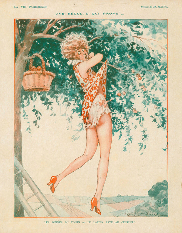Nature's Harvest- La Vie Parisienne - Authentic Vintage Cover Art