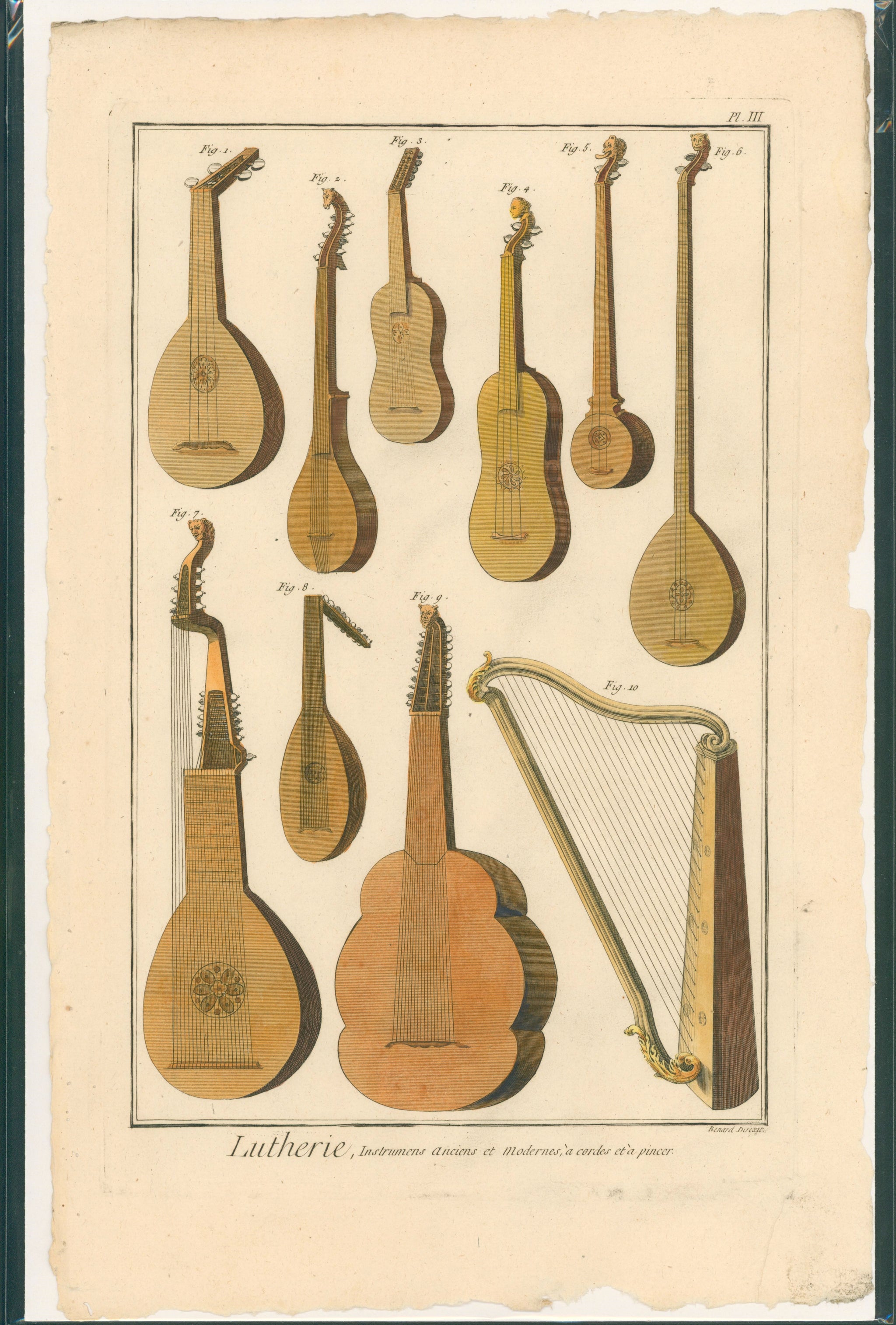 Mandolin Violin String Instruments Hand Colored Engraving