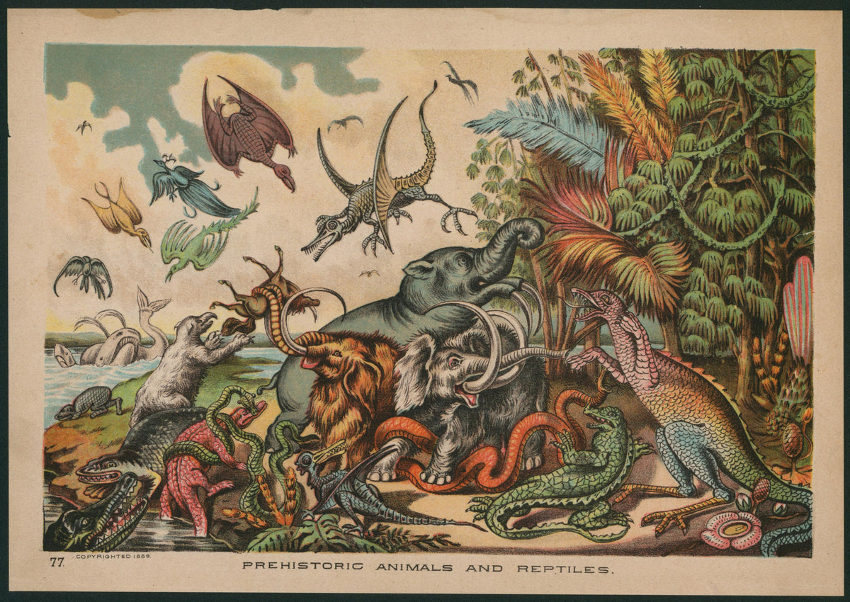 Prehistoric Animals and Reptiles - Authentic Vintage Antique Print