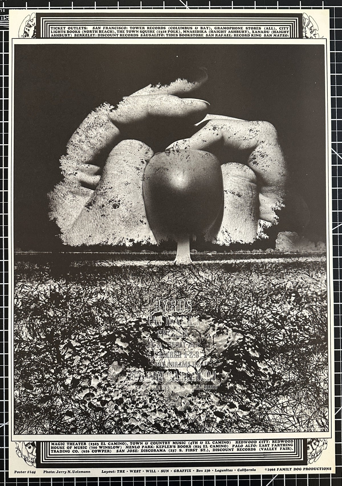 The Byrds by Wes Wilson (FD-144-1) - Original Vintage Poster