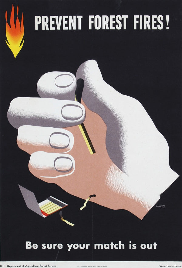 Prevent Forest Fires - Authentic Vintage Poster