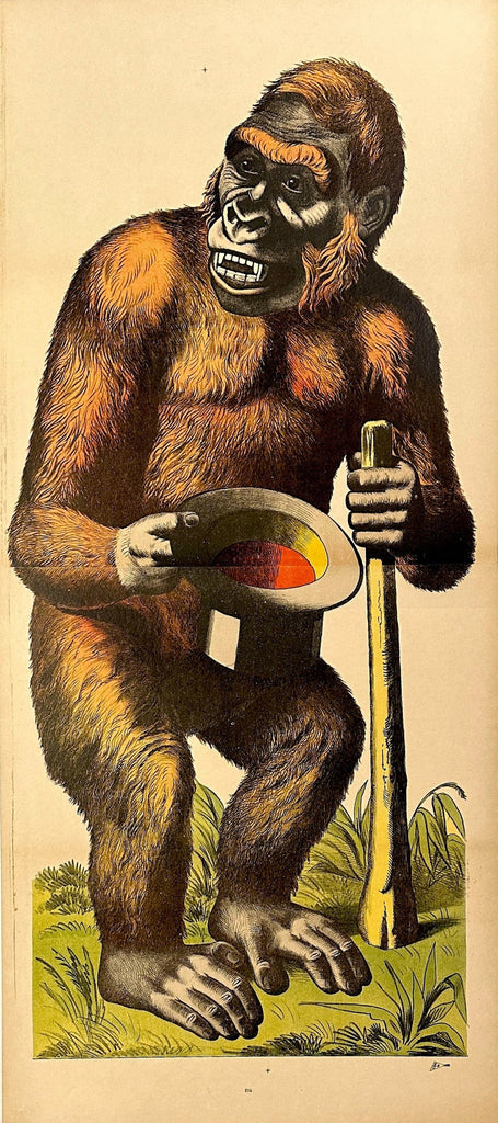 GORRR-m_1024x1024.jpg?v=1762047020