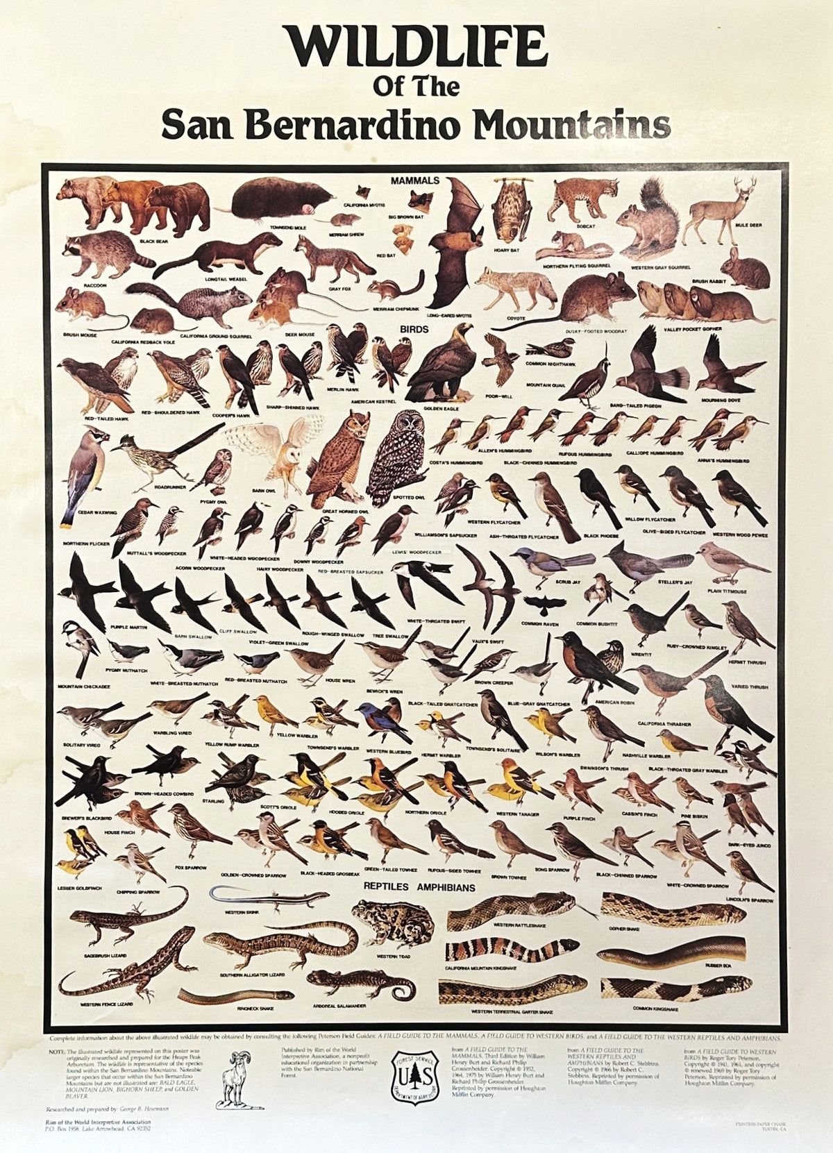 San Bernardino Wildlife - Authentic Vintage Poster