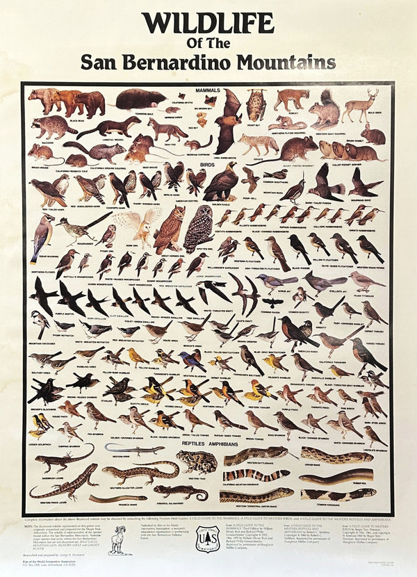 San Bernardino Wildlife - Authentic Vintage Poster