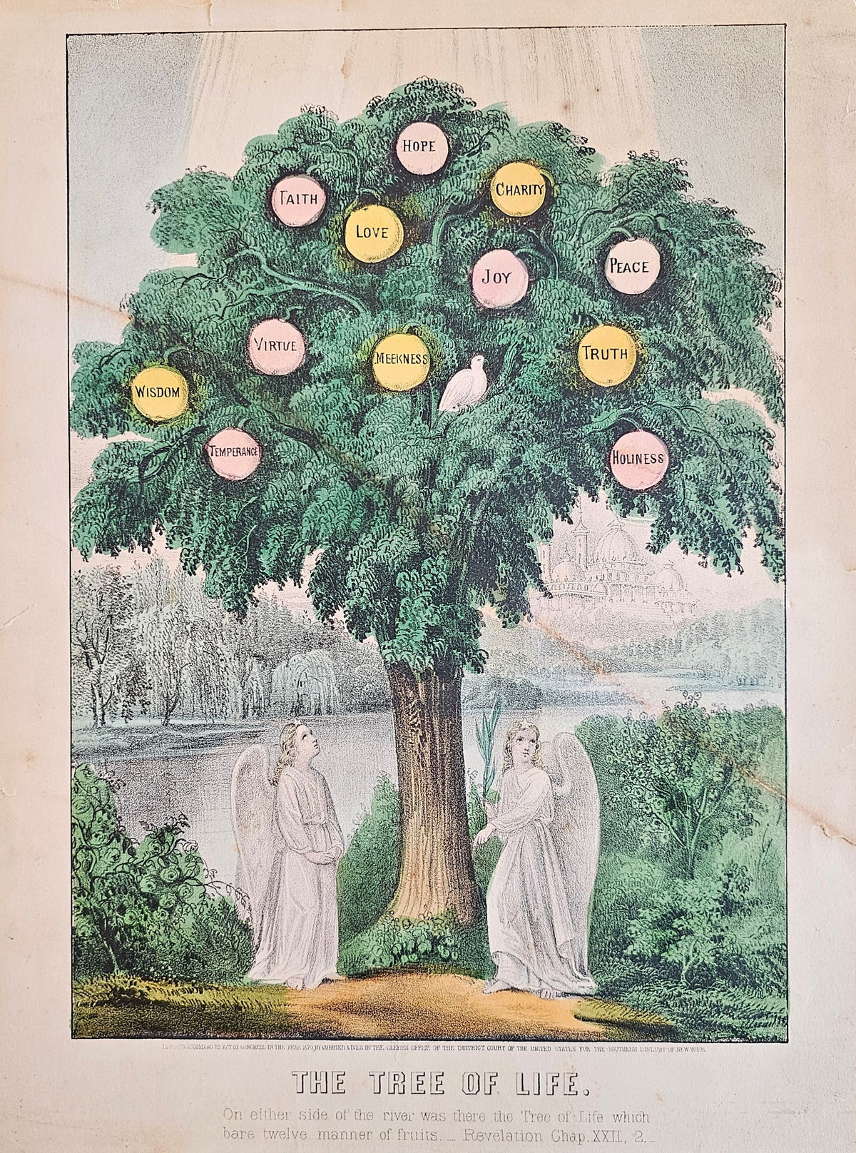 The Tree of Life- Hand Colored Engraving - Authentic Vintage Antique Print