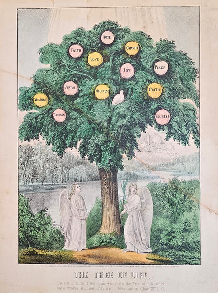 The Tree of Life- Hand Colored Engraving - Authentic Vintage Posters