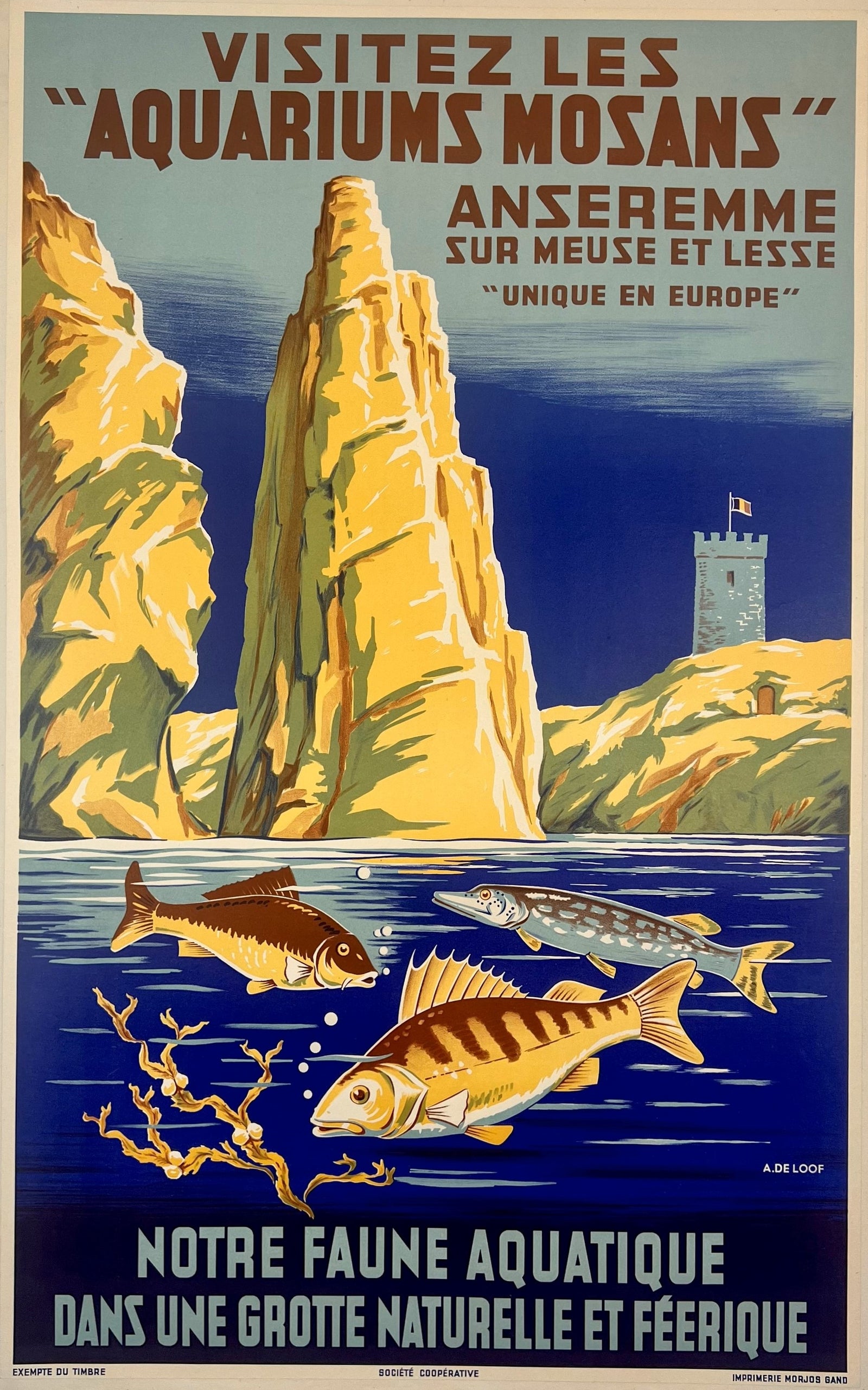 Visitez Les Aquariums Mosans - Authentic Vintage Poster