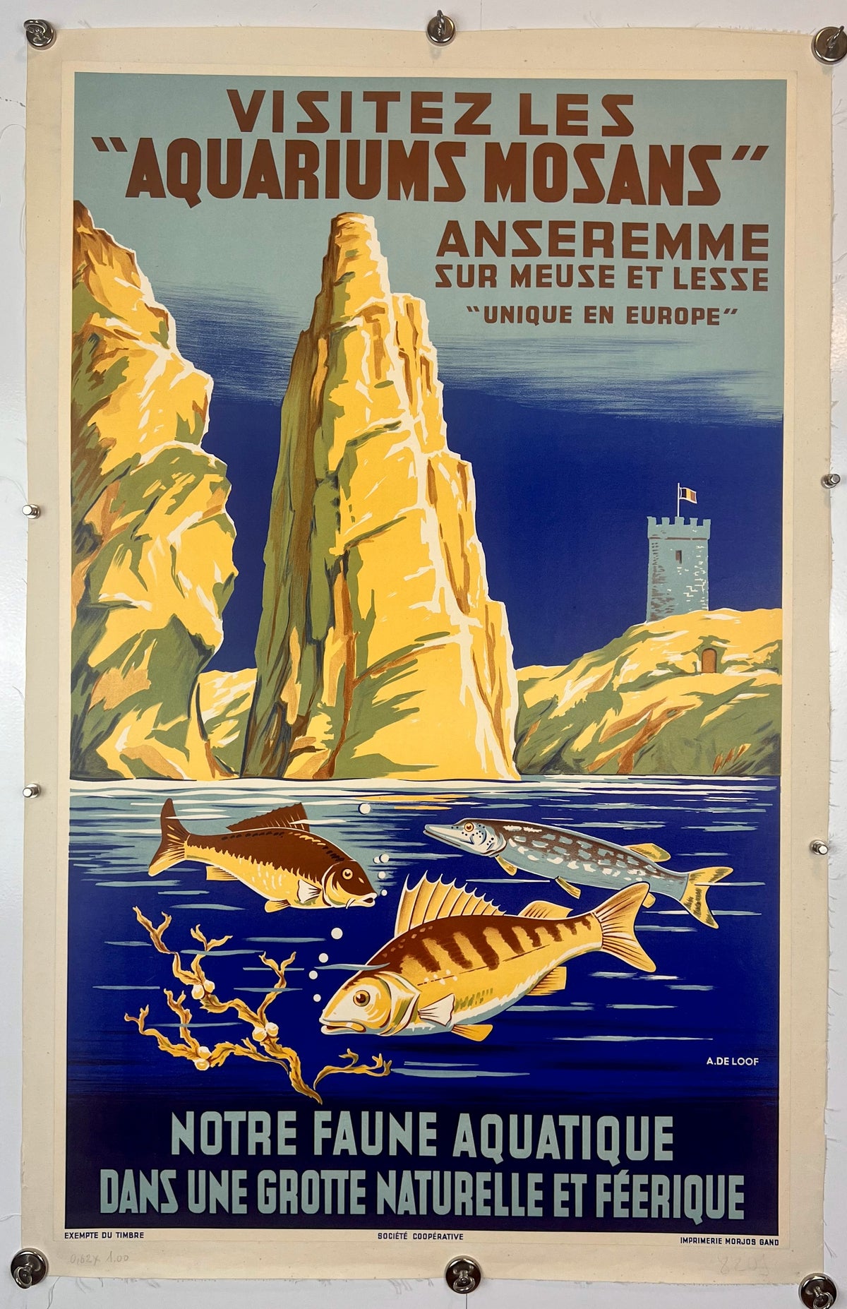 Visitez Les Aquariums Mosans - Authentic Vintage Poster
