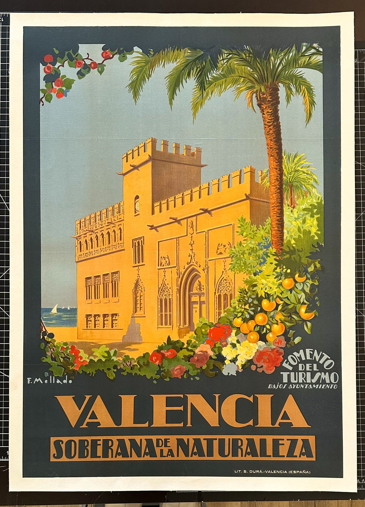 Valencia Naturaleza