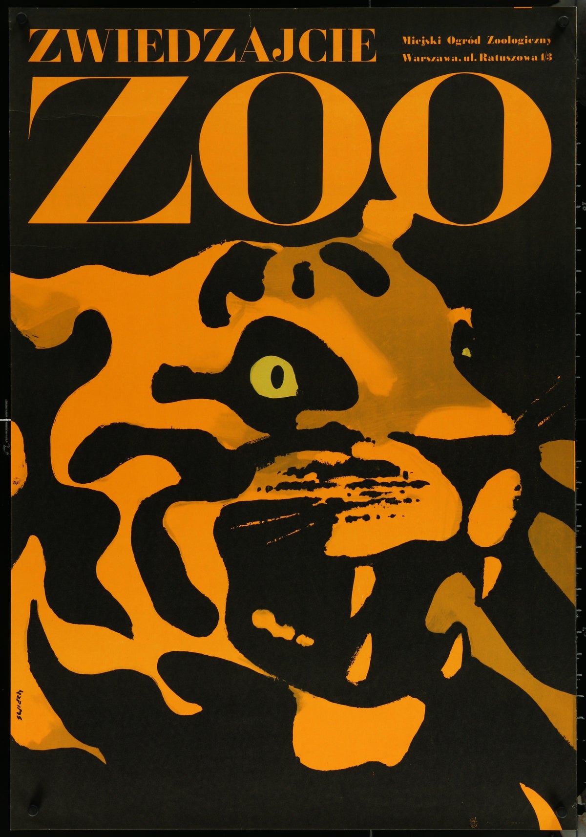 Polish Zoo Tiger - Authentic Vintage Poster
