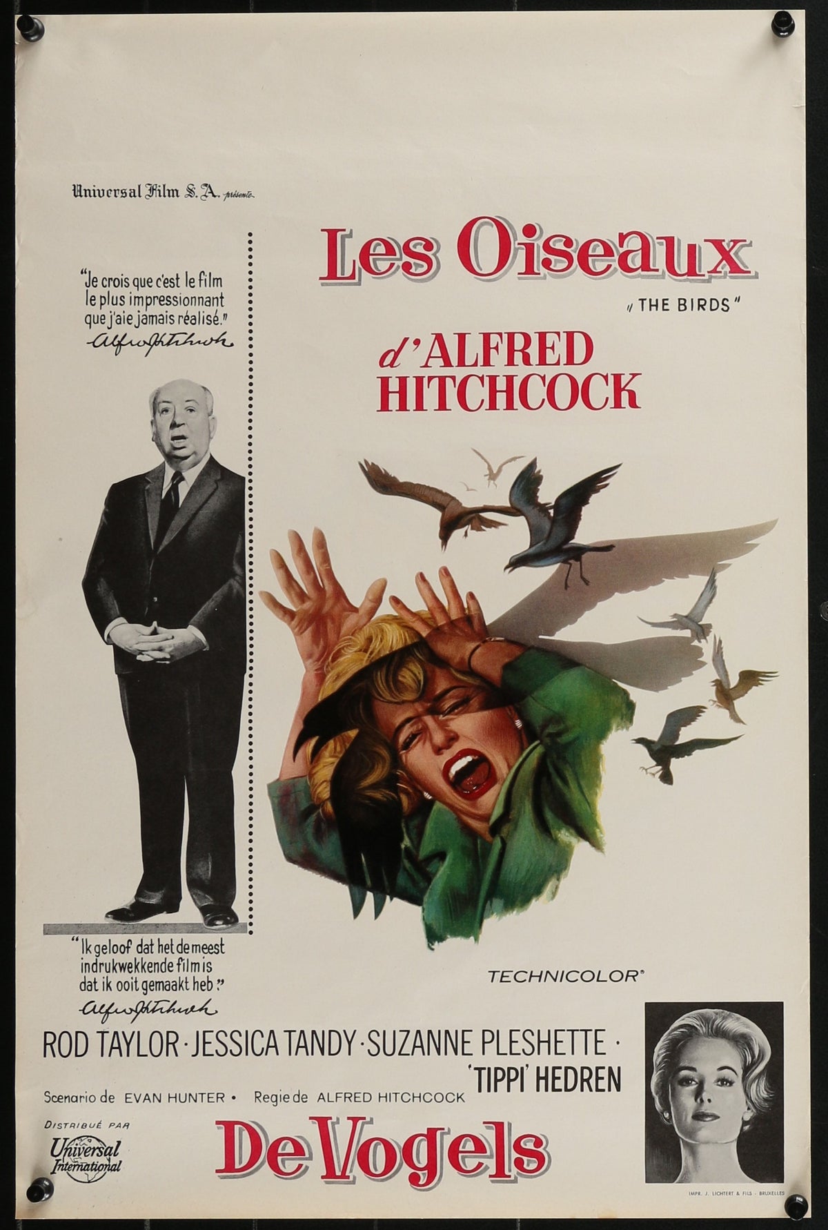 The Birds- Belgian Release - Authentic Vintage Poster