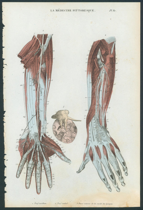 Plate 80