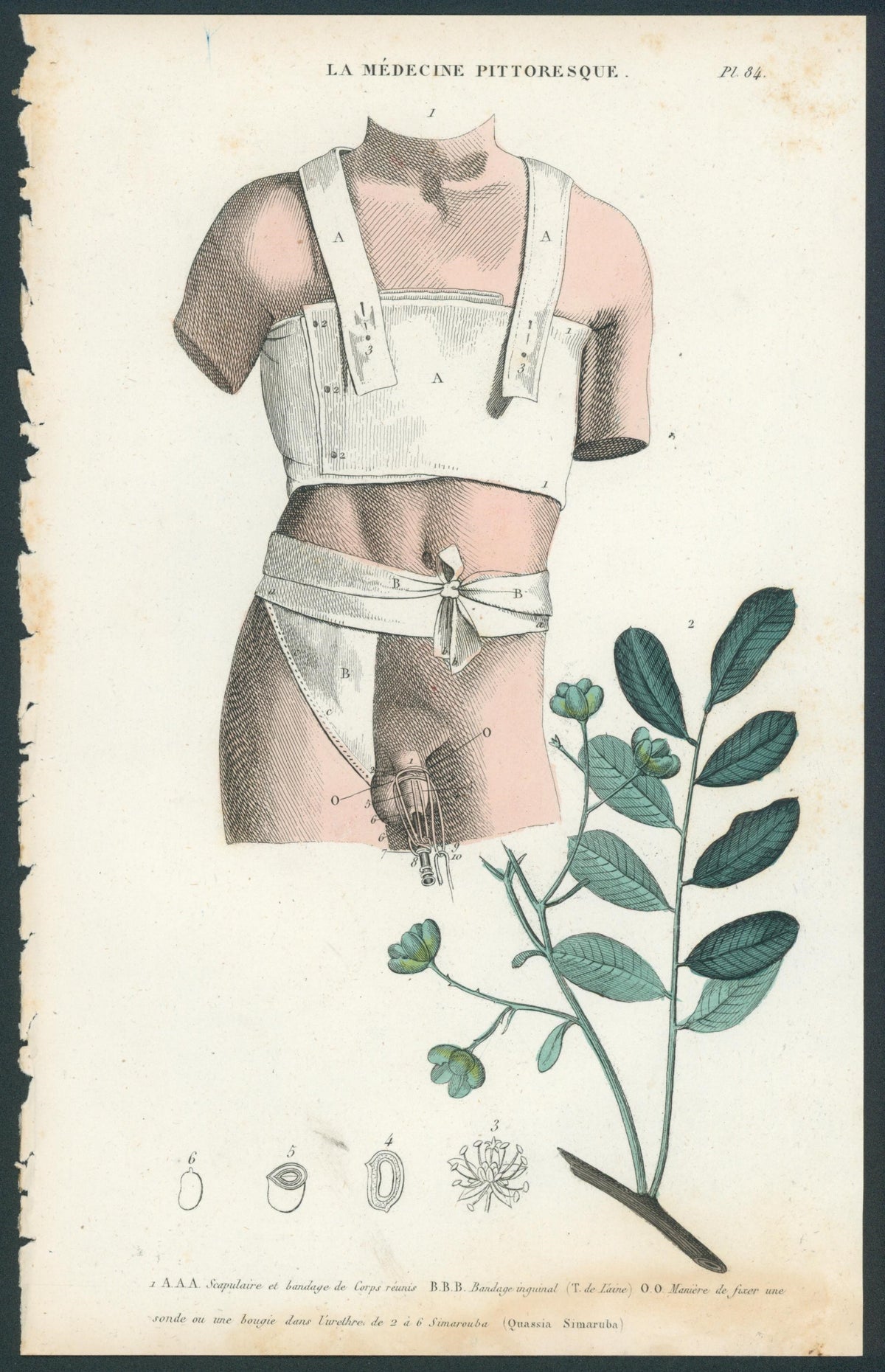 Plate 84