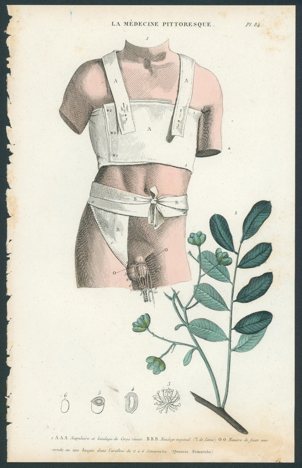 Plate 84