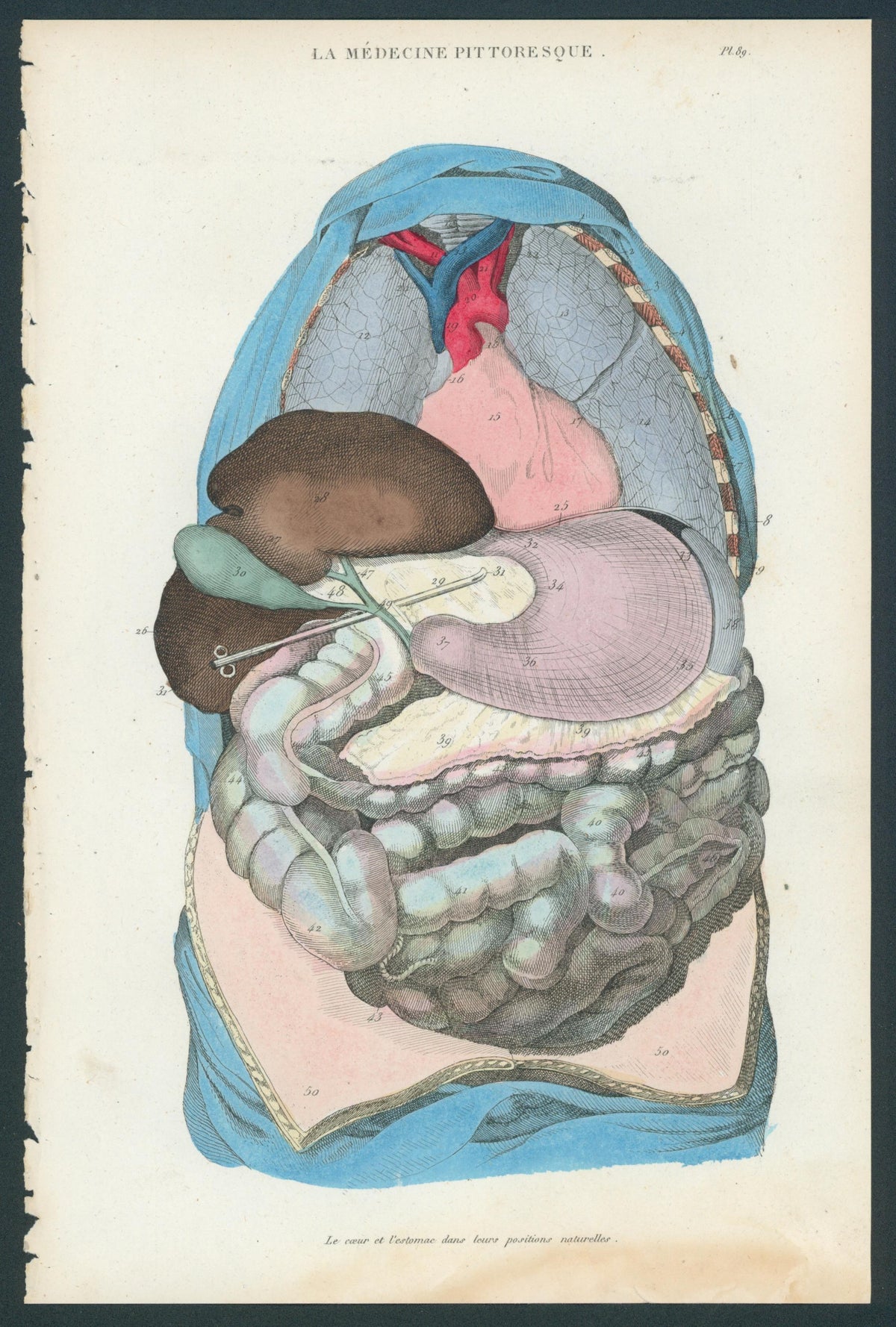 Plate 89