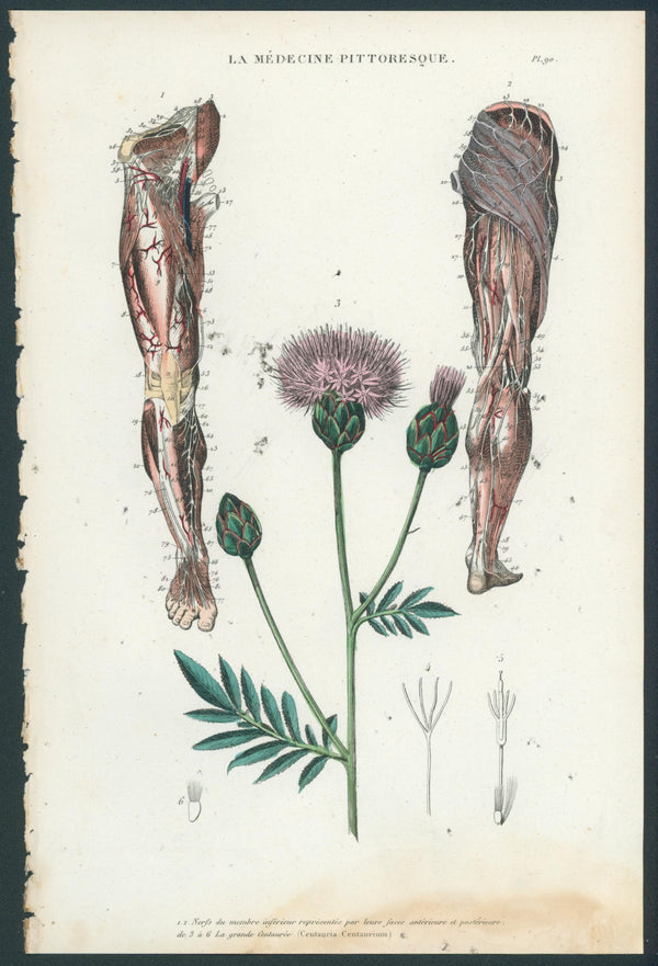Plate 90