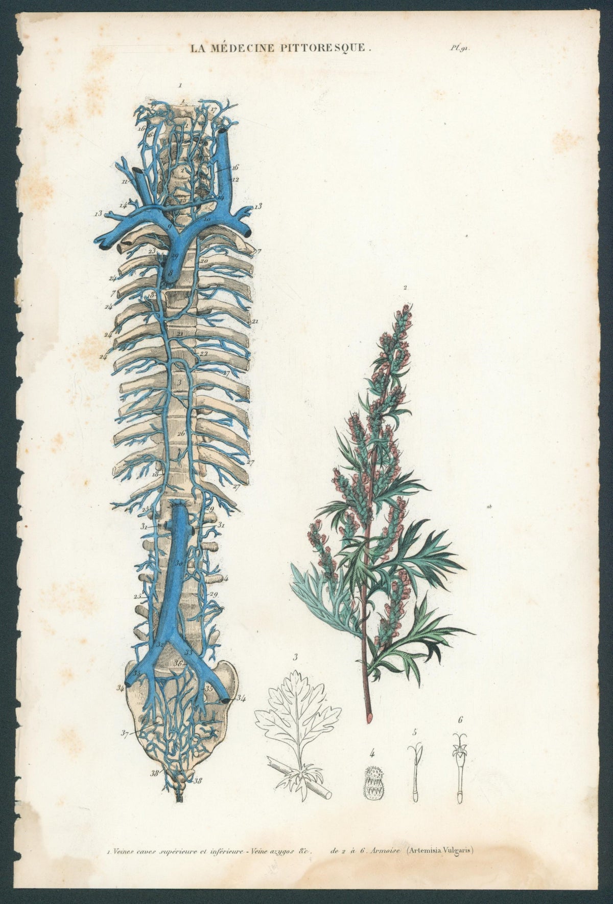 Plate 91