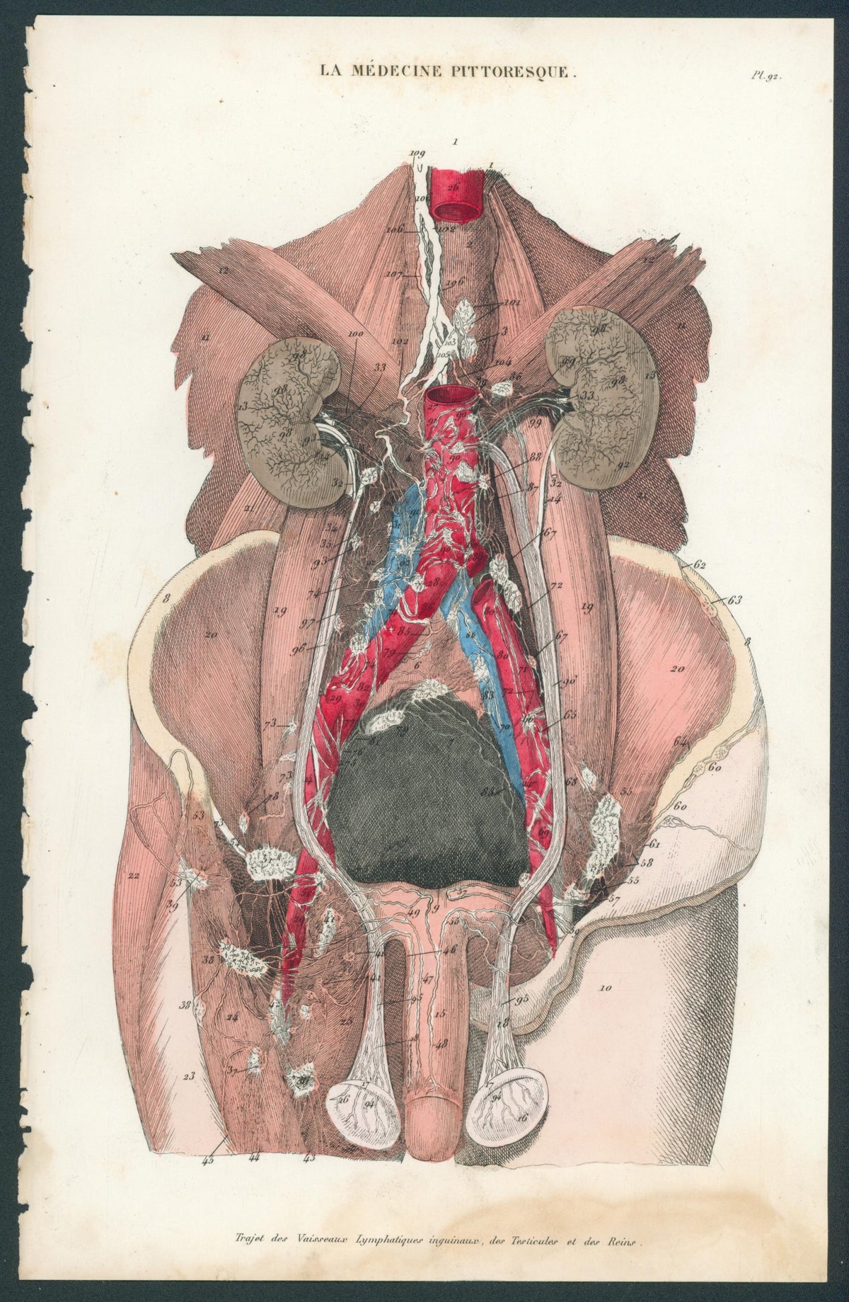 Plate 92