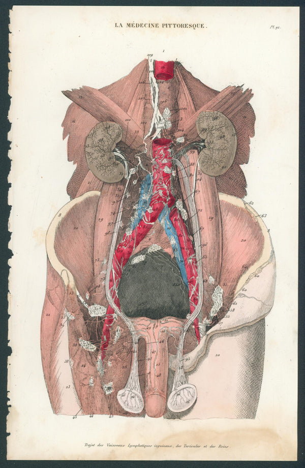 Plate 92