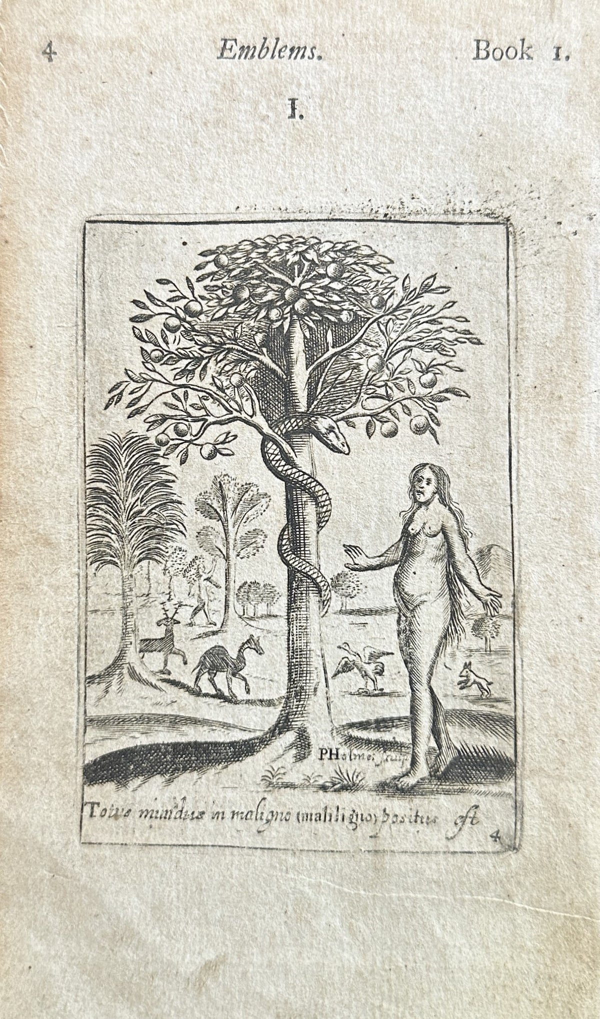 Garden of Eden- Emblem, Copper Engraving