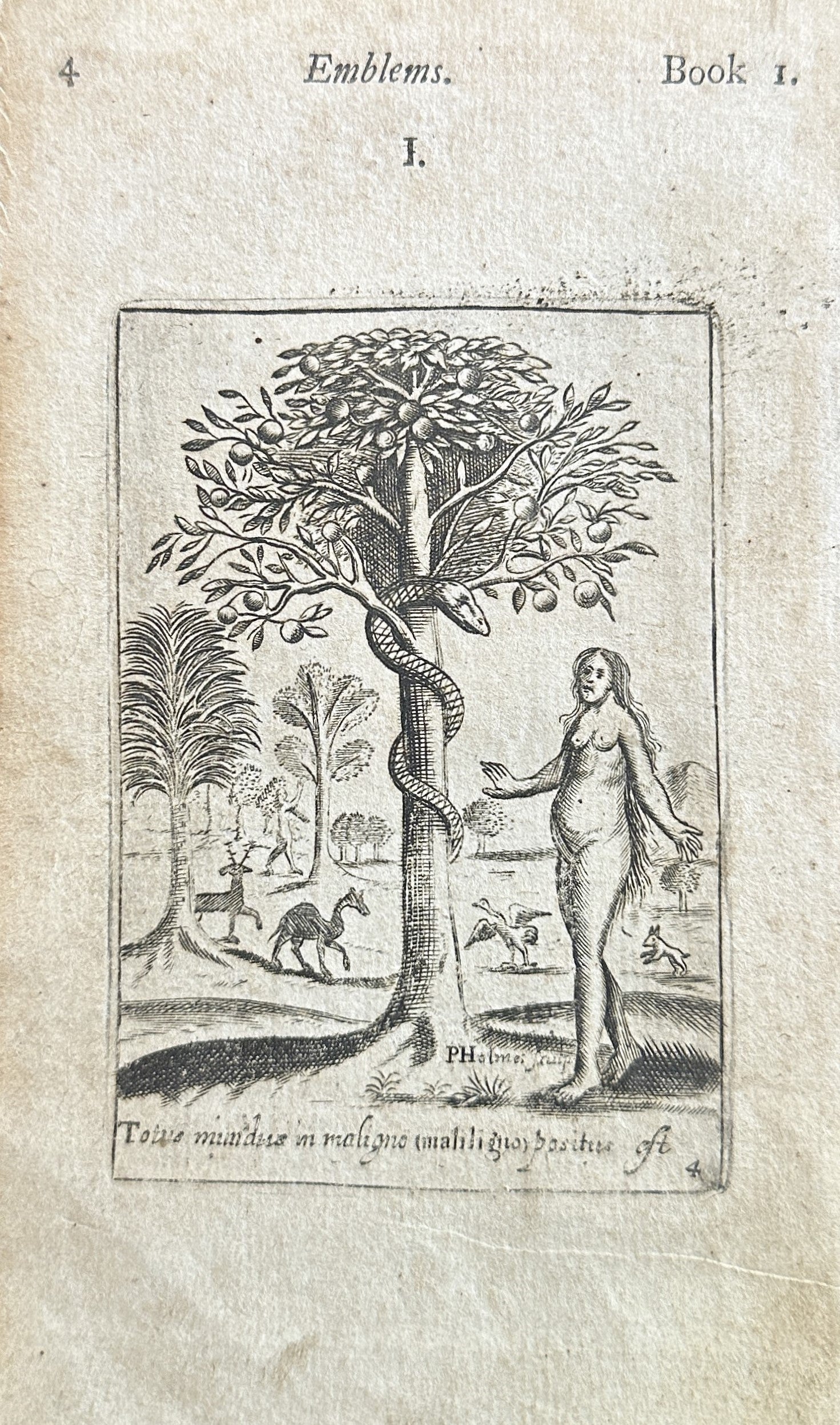 Garden of Eden- Emblem, Copper Engraving - Authentic Vintage Antique Print