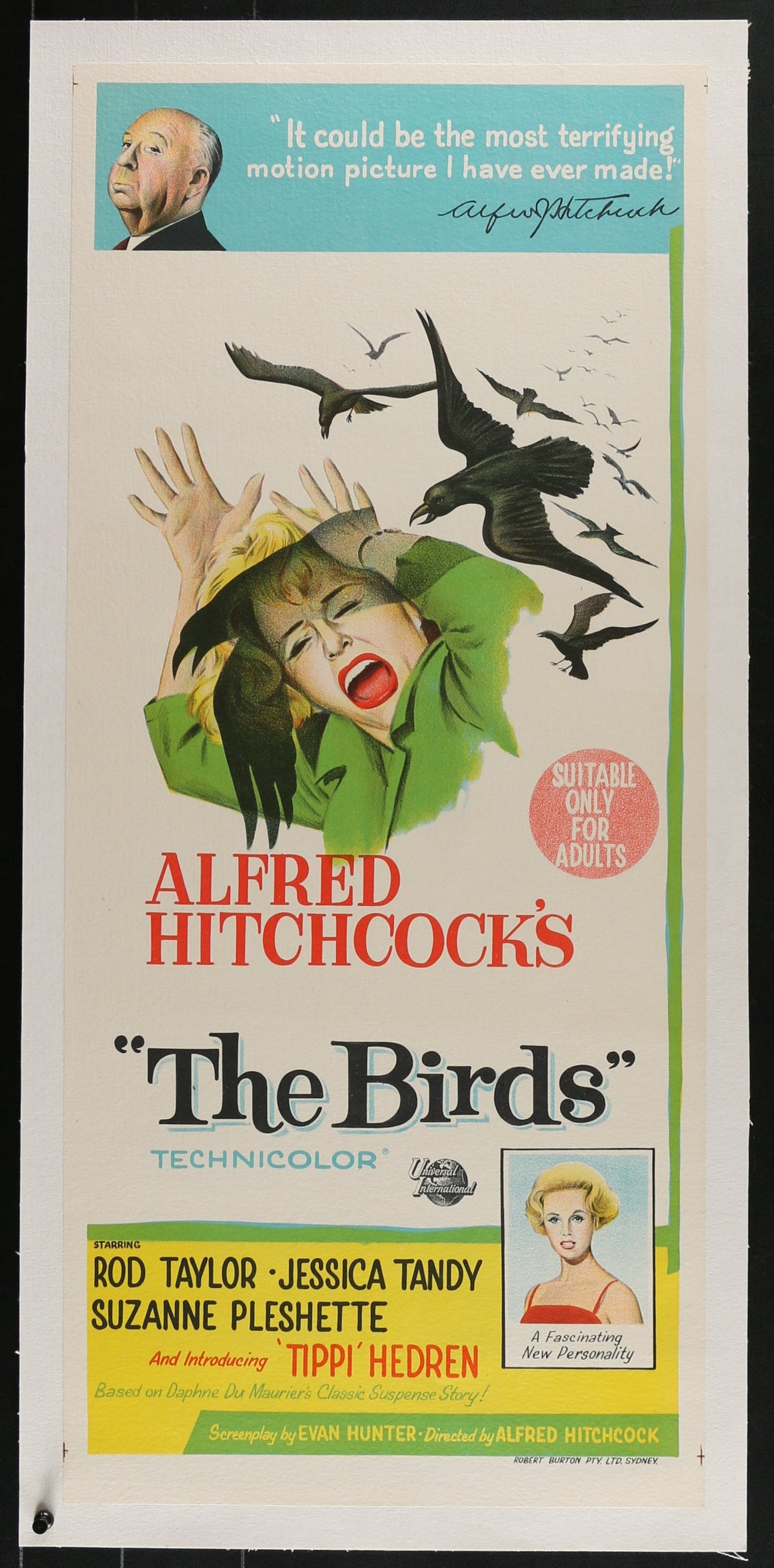 The Birds, Australian Daybill - Original Vintage Poster