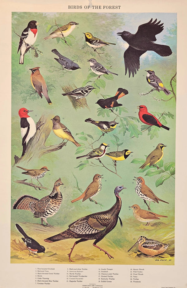 Birds of the Forests - Original Vintage Poster