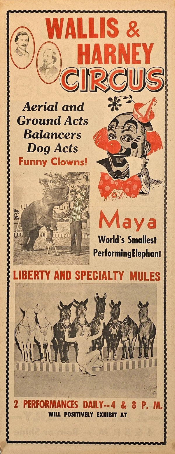 Wallis & Harney Circus - Original Vintage Poster