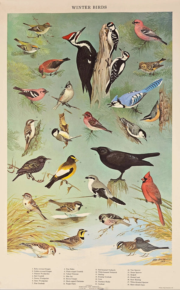 Winter Birds - Original Vintage Poster